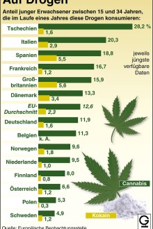 Cannabis Studien
